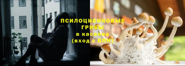шишки Кодинск