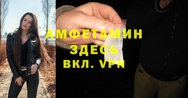 шишки Кодинск