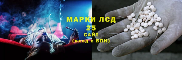 шишки Кодинск