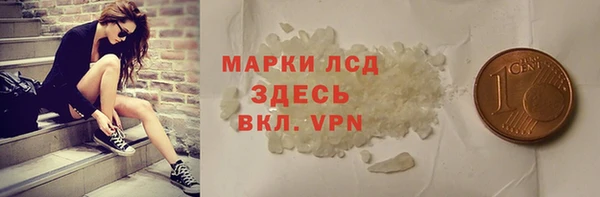 шишки Кодинск
