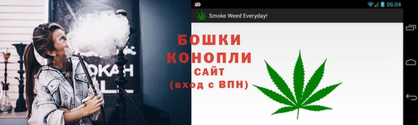 шишки Кодинск