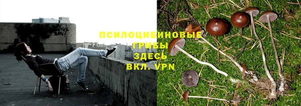 мдма Козельск