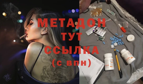 шишки Кодинск