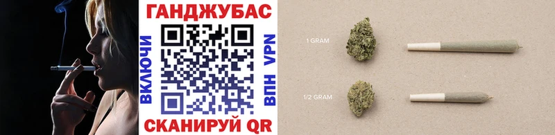 OMG как зайти  где продают наркотики  Артём  Шишки марихуана индика 